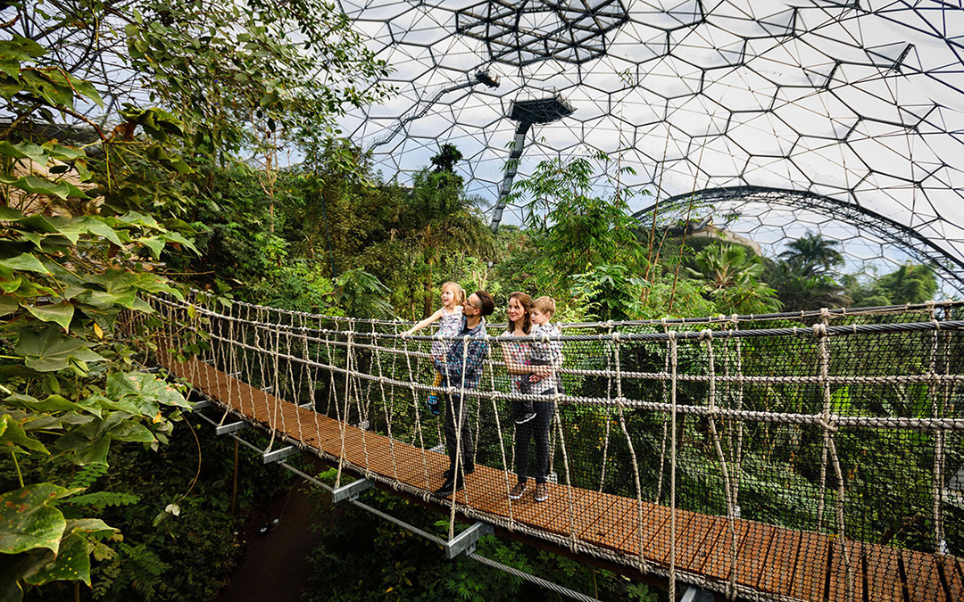 Eden Project dome interior