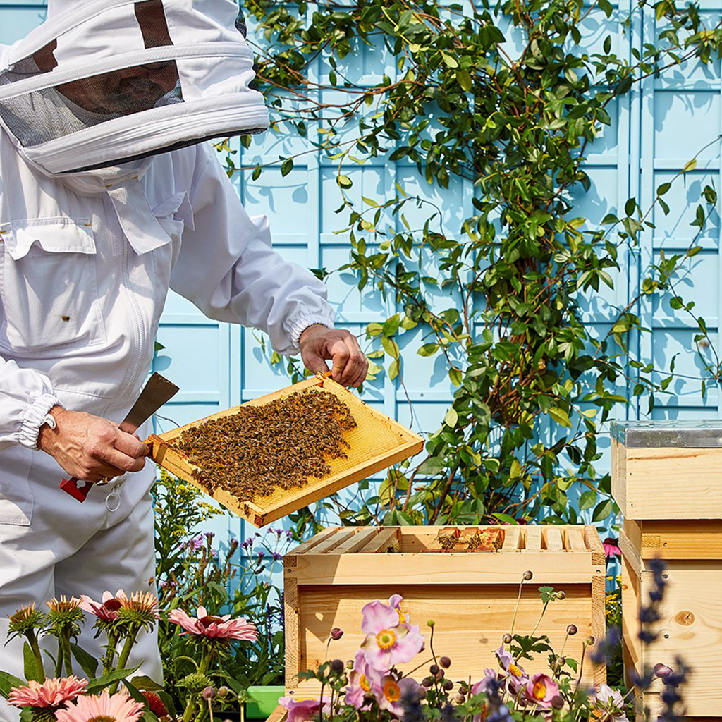 Beehives at One Aldwych